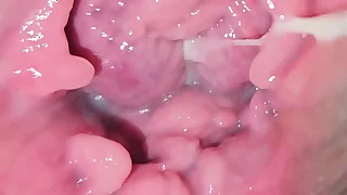 Investigative my vulva